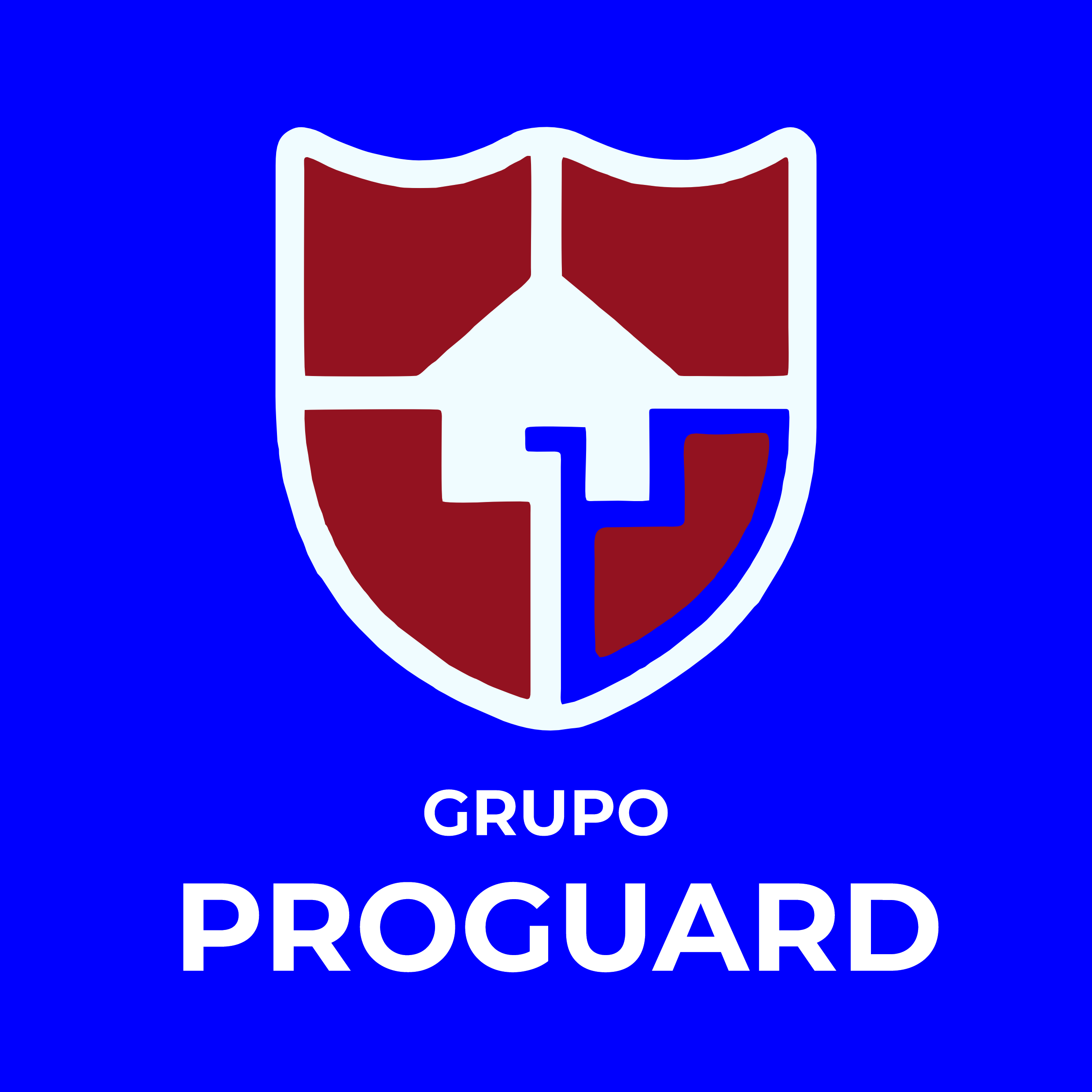 Grupo Proguard